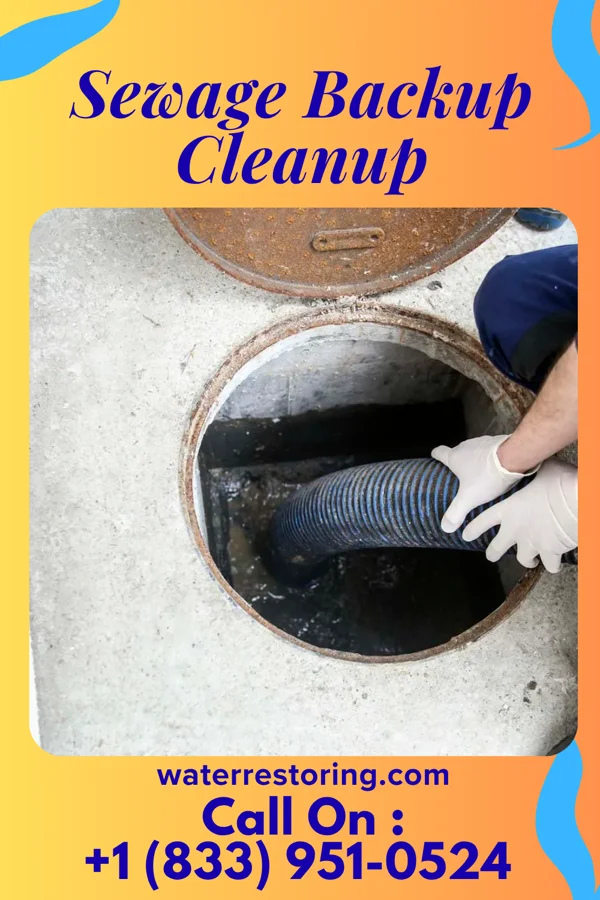 Sewage Backup Cleanup in Girardville, PA