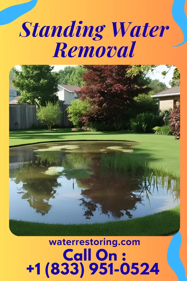 Standing Water Removal in Girardville, PA